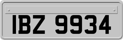IBZ9934
