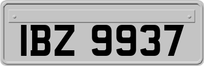 IBZ9937
