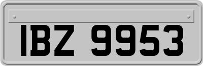 IBZ9953