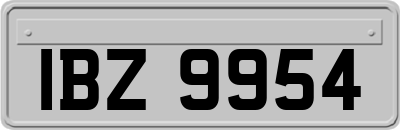 IBZ9954