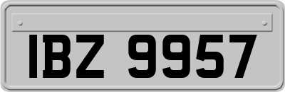 IBZ9957