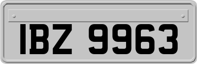 IBZ9963