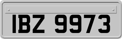 IBZ9973