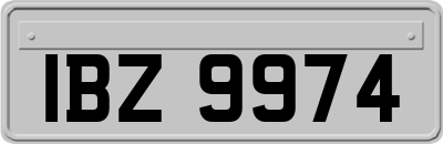 IBZ9974