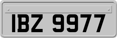 IBZ9977