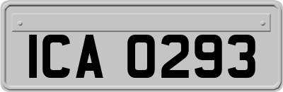 ICA0293