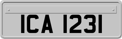 ICA1231