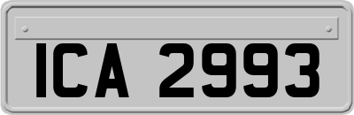ICA2993