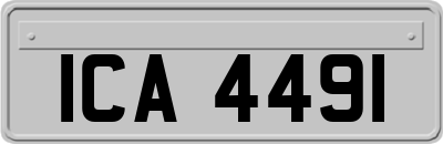 ICA4491