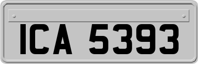 ICA5393