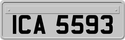 ICA5593