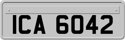 ICA6042
