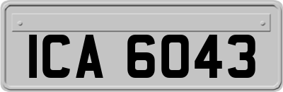 ICA6043