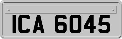ICA6045