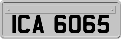 ICA6065