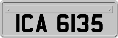 ICA6135