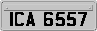 ICA6557
