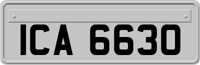 ICA6630