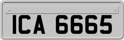 ICA6665