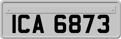 ICA6873