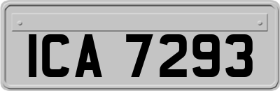 ICA7293