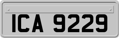 ICA9229