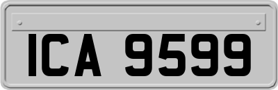 ICA9599