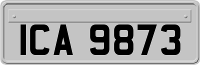 ICA9873
