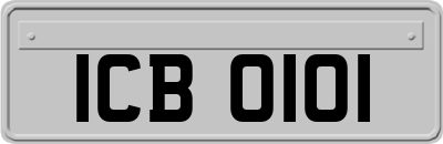 ICB0101
