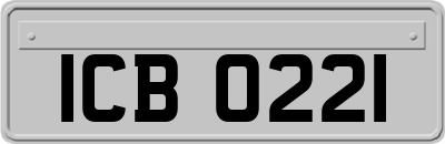 ICB0221