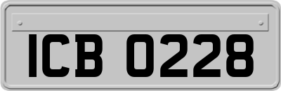 ICB0228
