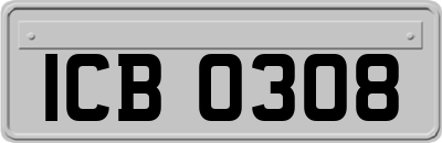 ICB0308