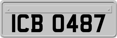 ICB0487