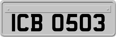 ICB0503