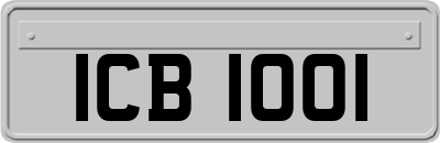 ICB1001