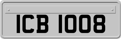 ICB1008