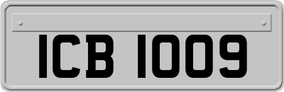ICB1009