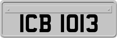 ICB1013
