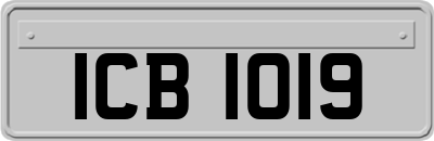 ICB1019