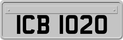 ICB1020