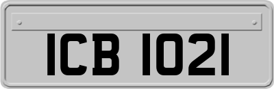 ICB1021