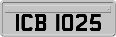 ICB1025