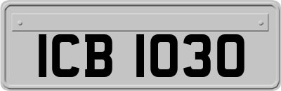 ICB1030