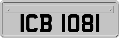 ICB1081