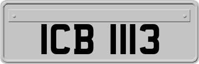 ICB1113