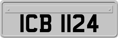 ICB1124