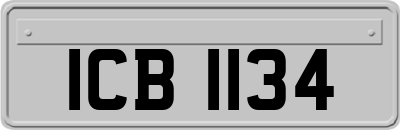 ICB1134