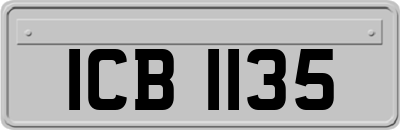 ICB1135
