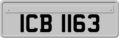ICB1163