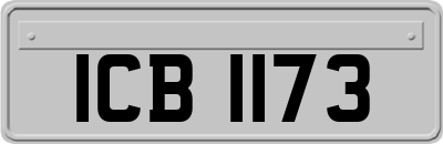 ICB1173